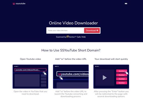 video downloader ss youtube